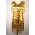 thumbnail image 2 of Robes de Danse Charleston Flapper à Franges à Sequins des Années 1920 Col en V Costumes_cadeau Spécial, 2 of 5