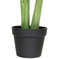 thumbnail image 7 of Northlight Potted Two Tone Green Calathea Artificial Floor Plant - 4', 7 of 7