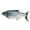 A, variant on YIFAEUX Flopping Fish Cat Toy with Catnip Interactive Automatic Floppy Carp Kitten Kicker Toy Electric Realistic Plush Wiggle Fish for Indoor Cats Dogs