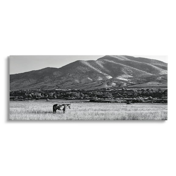 Stupell Industries Horse in Mountains Landscape Photography Gallery Wrapped Canvas Art Print Wall Art, 24 x 10