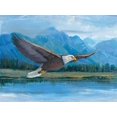thumbnail image 2 of OToole, Tim 32x25 Black Ornate Wood Framed with Double Matting Museum Art Print Titled - Eagle Soaring, 2 of 4