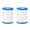 2 pieces, variant on Ameitech 2 Pcs Easy Set Pool Replacement Type VII or D Pool Filter Cartridge