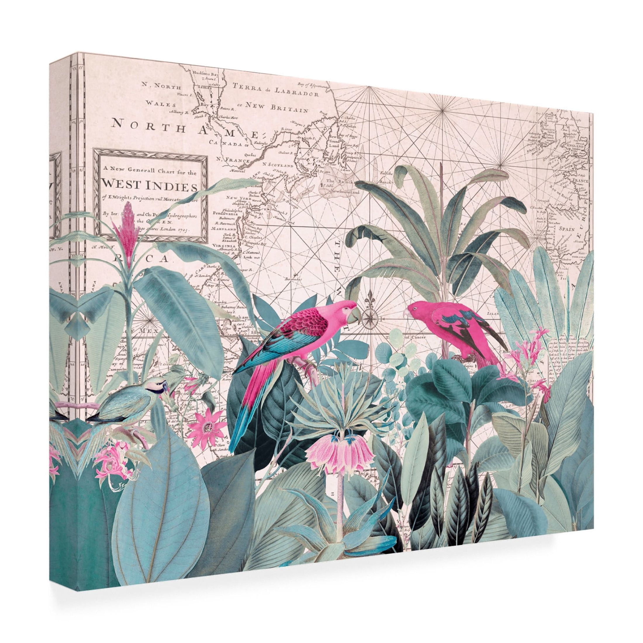 Trademark Fine Art Andrea Haase Exotic Wildlife 006 1 Canvas Wall Art