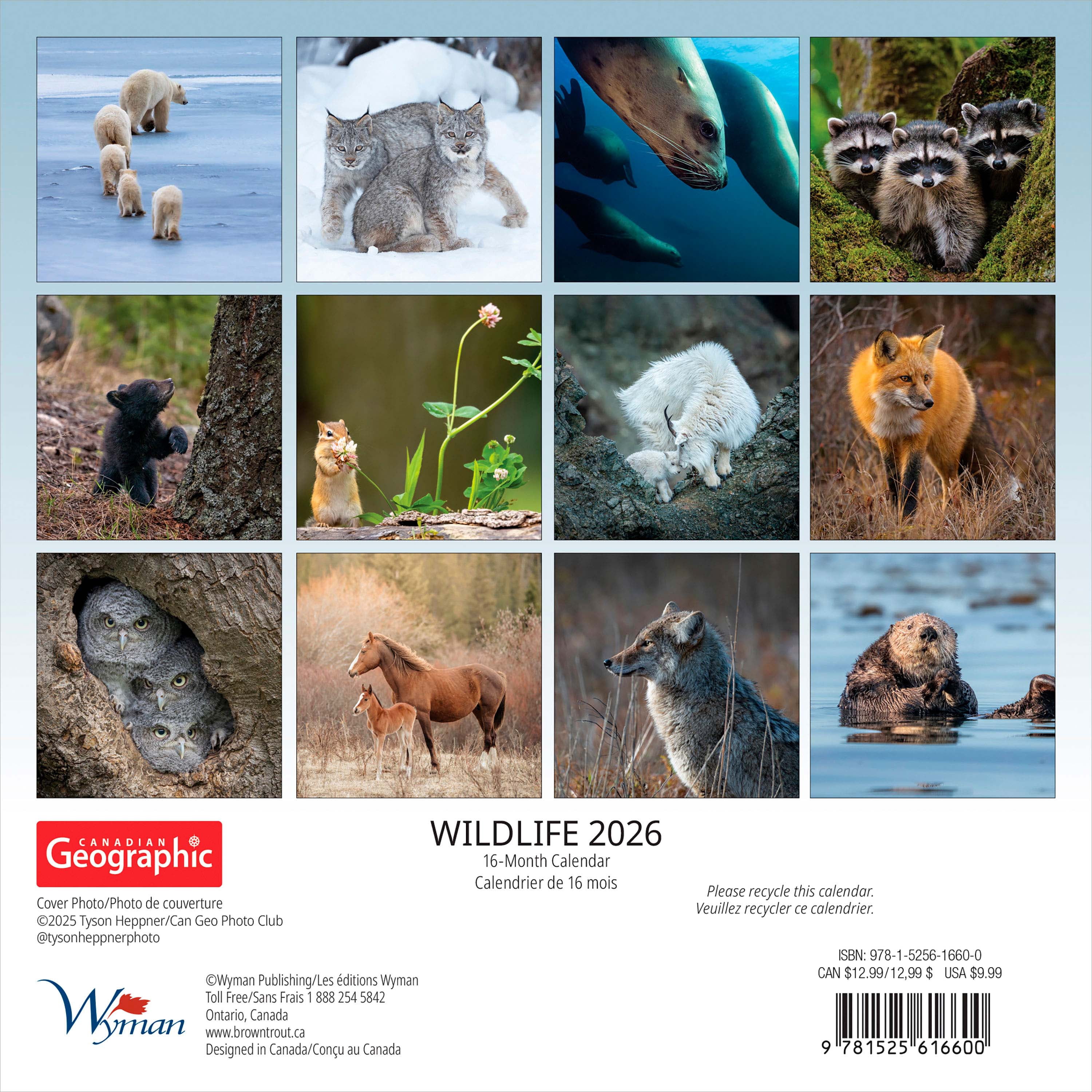 Canadian Geographic Wildlife 2026 Mini 7x7 Wyman