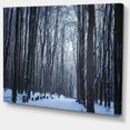 thumbnail image 2 of Thick Woods in Winter Forest - Modern Forest Canvas Art, 2 of 4
