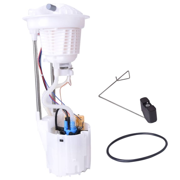 EGOESWELL Electric Fuel Pump Assembly E7165M