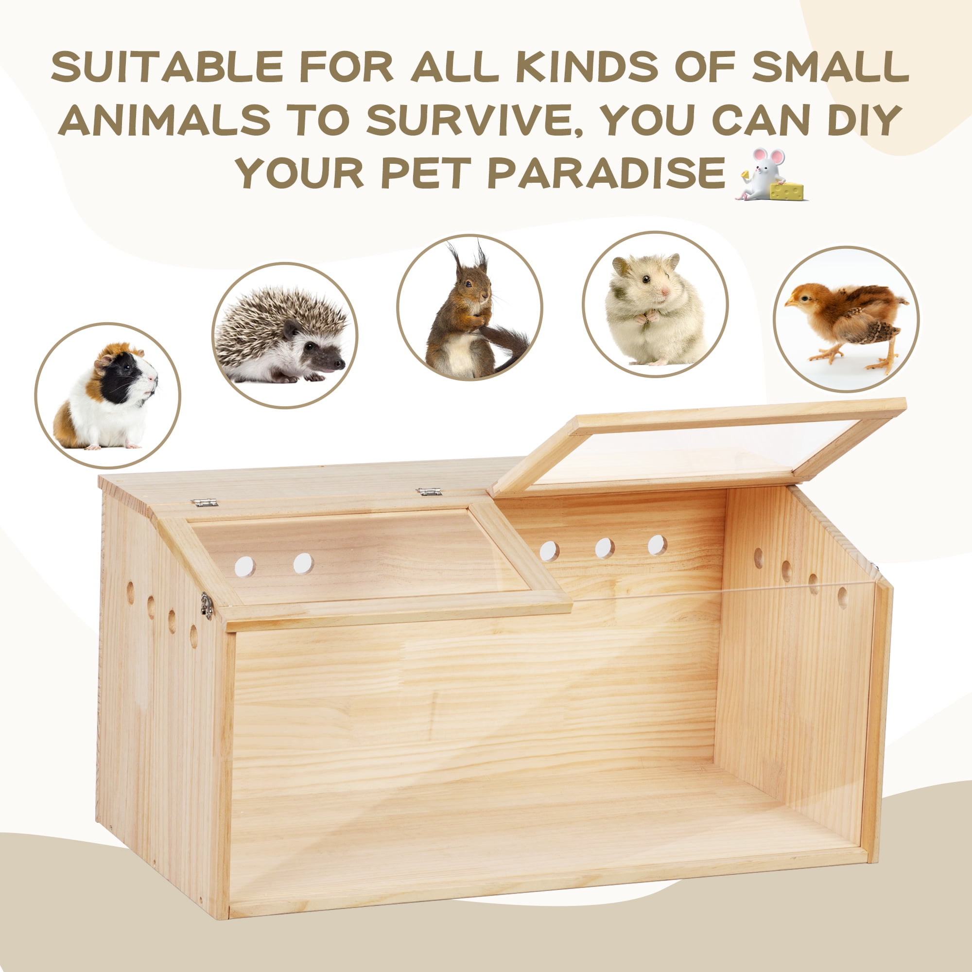 A Guide to Hamster Lifespan in Hamster Cages - Coziwow