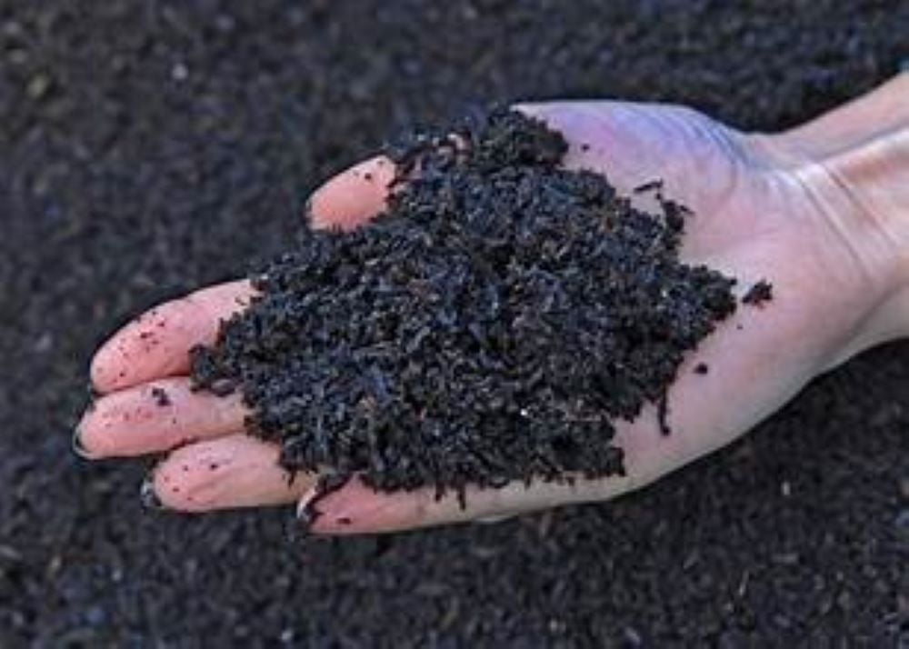 Readi Soil 22 lb. Organic Biochar Soil Amendment – Carbon-Rich Conditioner for Water Retention & Root Growth