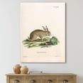 thumbnail image 2 of Designart ' Ancient Rabbits In Earth Tones ' Farmhouse Canvas Wall Art Print, 2 of 4