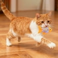 Plush Fish Cat Toy with Catnip & Crinkle Paper, Self-Play Interactive ...