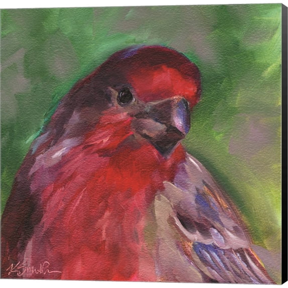 Great Art Now Field Birds VI by Kim Smith, Canvas Wall Art, 12W x 12H