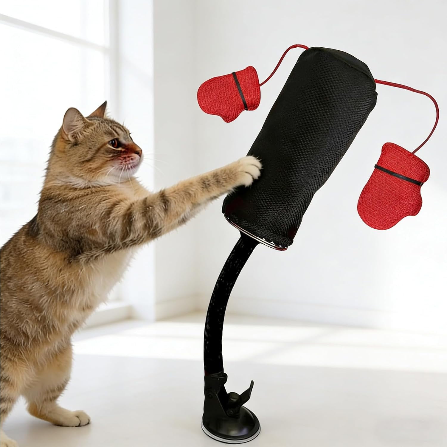 Paw Punch Cat Toy, Cat Punching Bag with Boxing Gloves – Interactive Exercise Toy for Indoor Play, Durable Suction Cup Activity Center, Easy-Clean Fabric for Mess-Free Fun