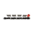 thumbnail image 1 of 2132 Performer-Plus Camshaft And Lifter Kit, 1 of 1