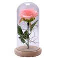 thumbnail image 3 of Flor encantada de rosas con luz LED en cúpula de cristal para Navidad, Día de San Valentín, Día de la madre, cumpleaños, los mejores regalos para novia, 3 of 4