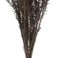 thumbnail image 4 of Vickerman 16" Wild Berry Rice Flower . Comes in a 4.25 oz Bundle. Preserved, 4 of 4
