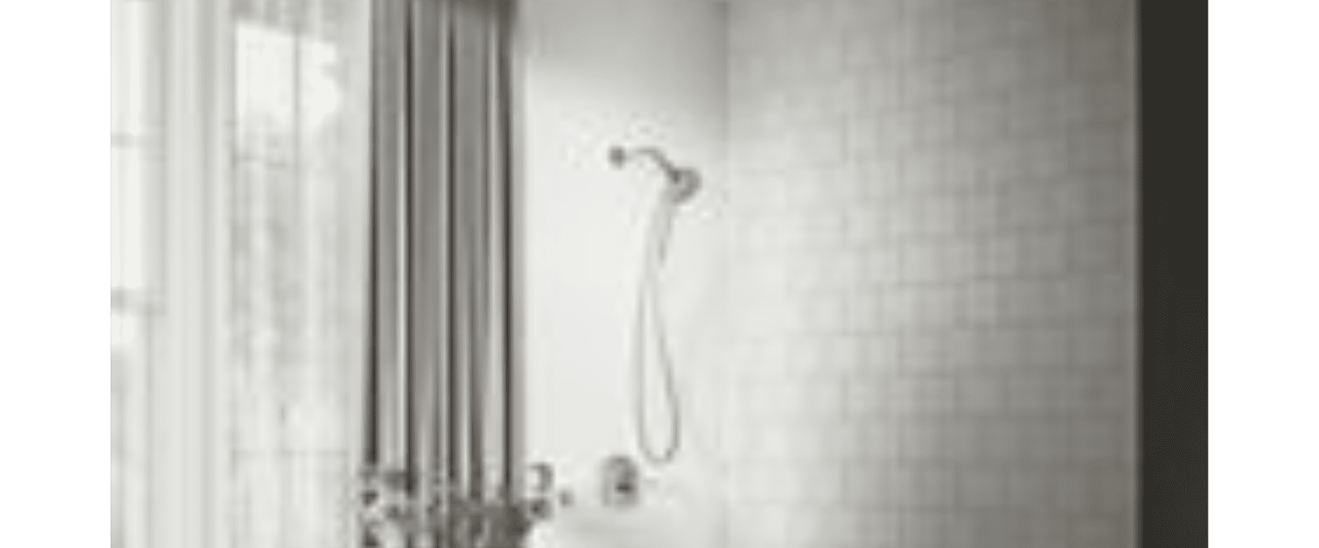 KOHLER ASSERT MULTI-FUNCTION HANDHELD SHOWER HEAD