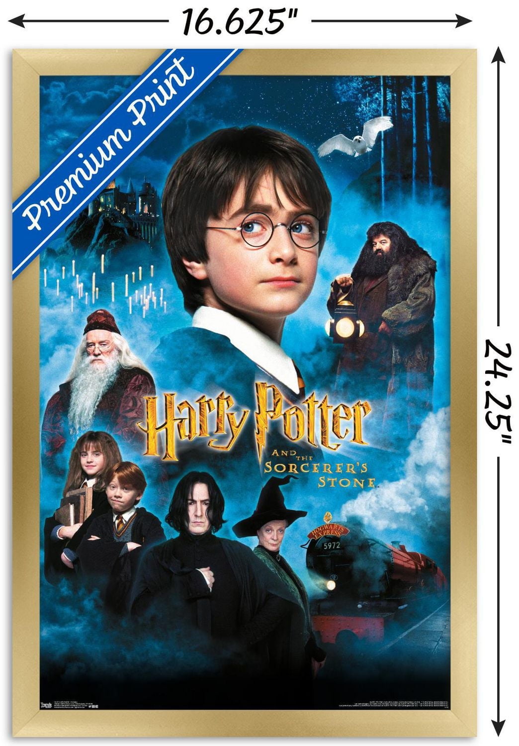 Harry Potter à l'école des sorciers