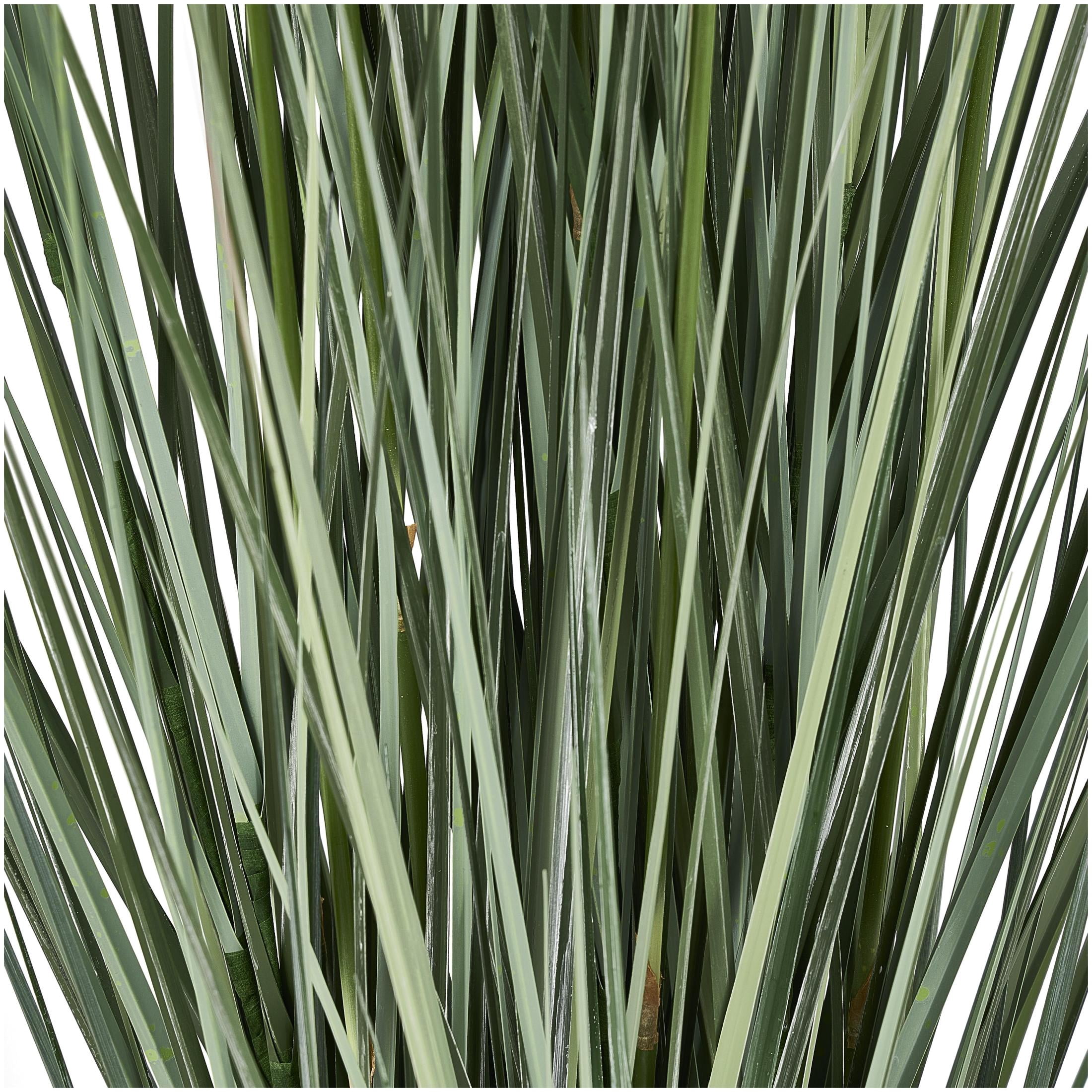 DecMode 61" Tall Artificial Onion Grass Plant in Black Plastic Pot