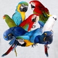 thumbnail image 3 of CafePress - Parrots Men's Value T Shirt - Men's Classic Graphic T-Shirt, 3 of 4