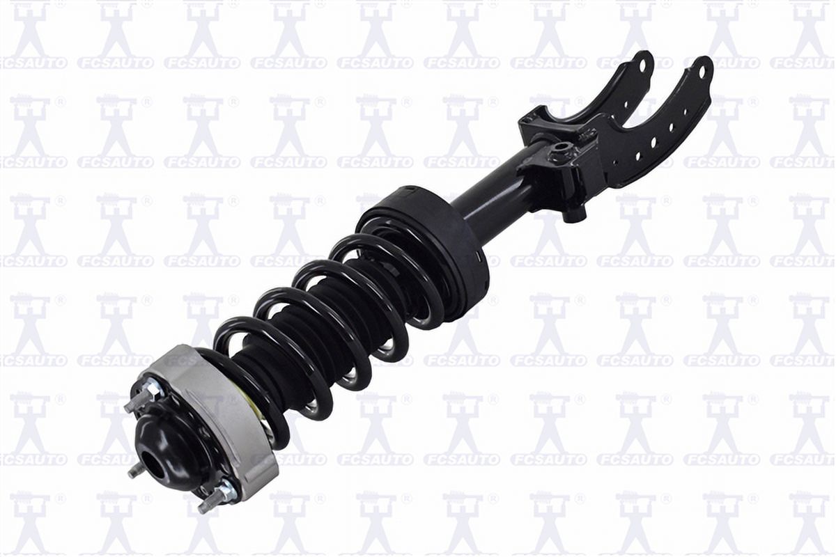 Suspension Strut and Coil Spring Assembly