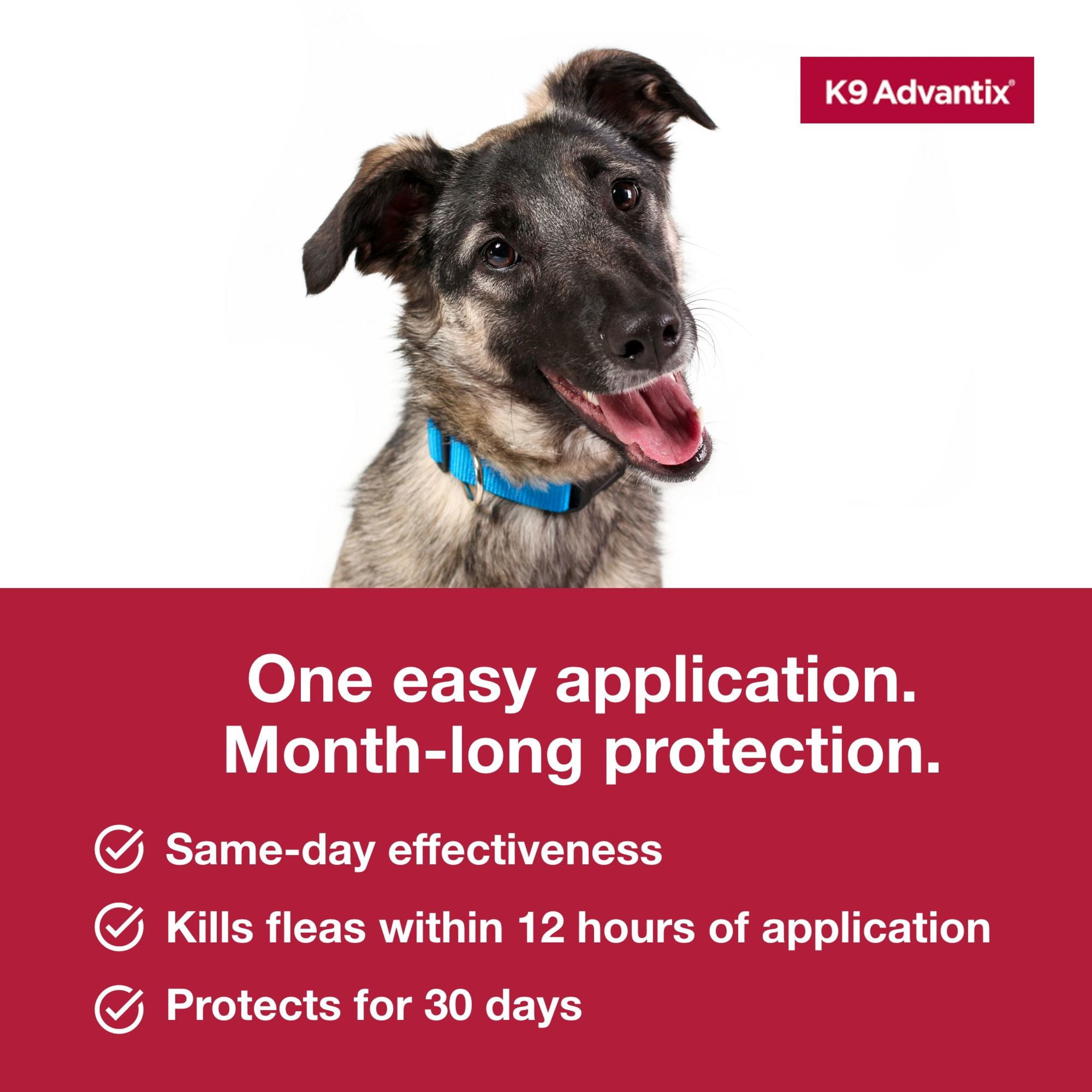 K9 Advantix Flea, Tick & Mosquito Prevention for Large Dogs 21-55 lbs., 2-Monthly Treatments