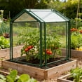 thumbnail image 6 of Mini Greenhouse Heavy Duty Portable Green House, Clear Tent Small Greenhouse for Indoor Outdoor Plants 33”(L) x23.6”(W) x33”(H) Heavy-Duty PVC Cover Tent Humidity Dome Seedling Accessory (Clear), 6 of 8