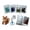 B001- Style A, variant on Bead Craft Supplies, 3D Bead Animal Kit, Small Animal Craft Kit, Beginner Beading Kit, 3D Turtle Beading Set Includes Assorted Seed Beads, Clear Beading Thread, Small Craft