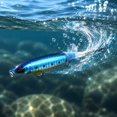 thumbnail image 4 of Bisitoy 2Pcs Crankbait Fishing Lures Set with Square Bill for Shallow Rocks, 4 of 4