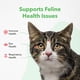 thumbnail image 3 of Suplemento Vetoquinol Viralys Lisine para gatos y gatitos 600 g, 3 of 7