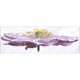 thumbnail image 3 of Kit Punto Cruz Flores Con Cuentas Bordado Parcial Arte para El 9CT 78x29cm, 3 of 7