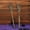 Gold, variant on 12.6 Inch Halloween Skeleton Hand Yard Stakes, 2 Pack, Realistic Bone Arm Ground Insert Props for Lawn Cemetery Outdoor Party Decor