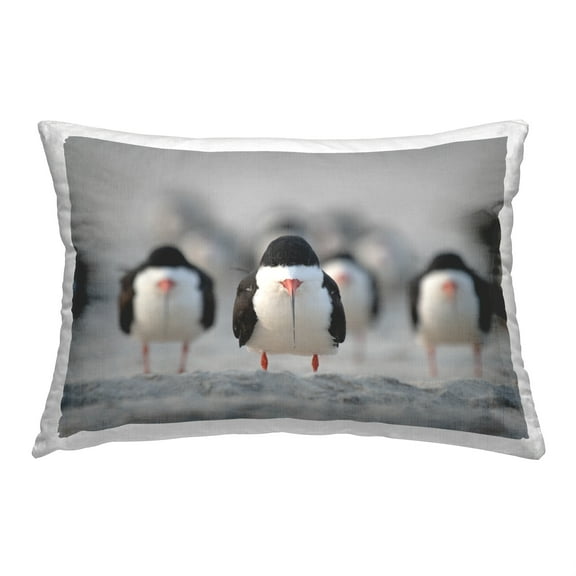 Stupell Industries Funny Birds Lined Up Decorative Printed Throw Pillow, 14 x 20