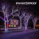 thumbnail image 4 of Guirnalda de luces navideñas Dazzle Bright 1000 LED, 100 m, 4 of 7