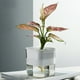 thumbnail image 4 of Maceta con absorción de agua automática, maceta de plantas hidropónicas en maceta, maceta de cultivo interior para el hogar Noticed HA000637-01B, 4 of 6
