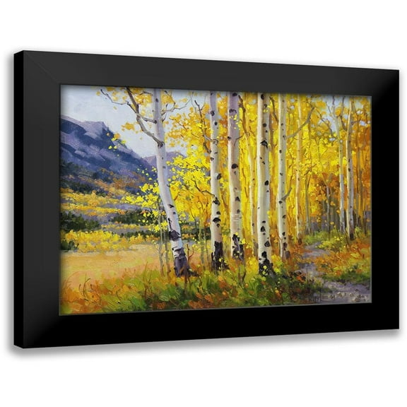 Kim, Gary 14x12 Black Modern Framed Museum Art Print Titled - Trail through Golden Aspen