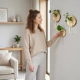 thumbnail image 6 of Wall Mounted Glass Planter, Natural Wood Slice Single Test Tube Hydroponic Vase, Hanging Plant Propagation Station for Indoor Home Decor and Office Wall Art Decoration, 6 of 6