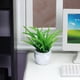thumbnail image 5 of 4 Pieces Modern 1/12 Potted Plants Fairy Room Bedroom Decor Zulema none, 5 of 8