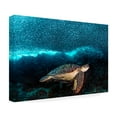 thumbnail image 4 of Henry Jager 'Turtle And Sardines' Canvas Art, 4 of 4