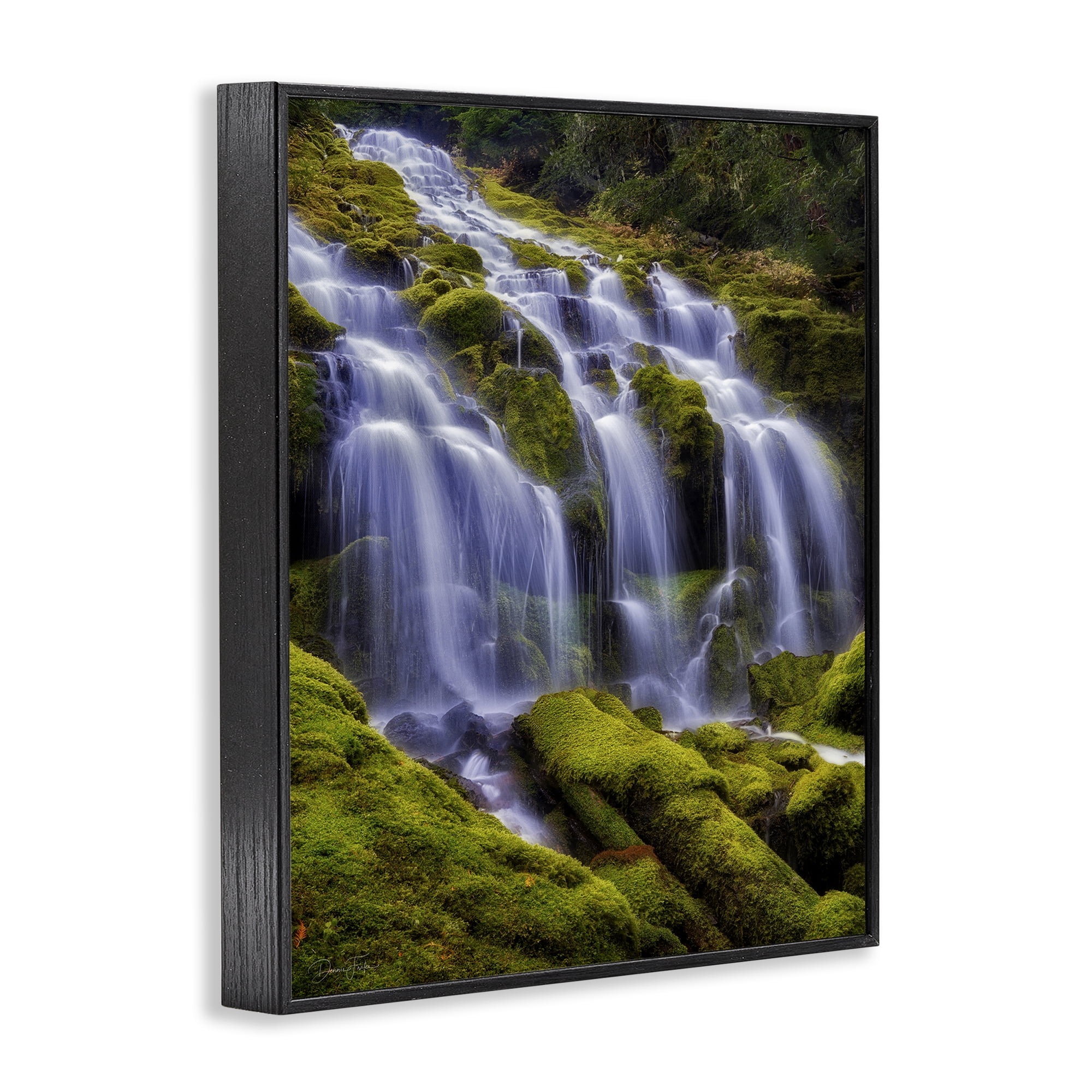 Stupell Industries Upper Proxy Falls Black Framed Giclee Art, design by Dennis Frates