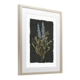 thumbnail image 2 of Stupell Industries Cottage Lavender Sprigs on Dark Background Birch Framed Print Under Glass, 13 x 16, by Carol Robinson, 2 of 8