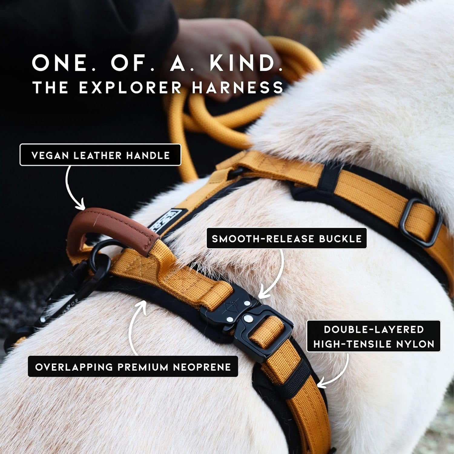 Made To Roam Premium Explorer Harness - Y-Shaped Dog Harness with Adjustable Durable Nylon, Soft Padding, Metal Buckles and Leather Handle for Small, Medium, Large Dogs (Arizona Heartbeat, Size 6)