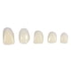 thumbnail image 3 of Corona dental de 50 piezas, Corona dental temporal, 2 tipos Corona de dientes resistente temporal con diferentes tama?os Cuidado oral Corona anterior(Dientes frontales) Saludable Octpeak NO, 3 of 8