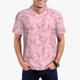 thumbnail image 1 of Balery happy baby axolotls Camisa Polo de Hombre con Estampado, de Manga Corta y Tejido Medio, Camisa Tipo Golf Polo-X-Large, 1 of 6