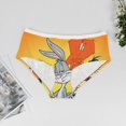 thumbnail image 2 of Cartoon Looney Tunes Women's Brief Lady Lace Underwear Breathable Elastic Sexy Bikini Hipster Panties, 2 of 6