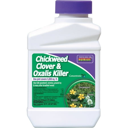 Chickweed, Clover and Oxalis Killer, Contains horsepower (Triclopyr + MCPA + Dicamba) By Bonide (Best Weed Killer For Clover)