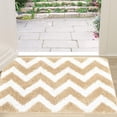 thumbnail image 5 of Tapis d'Intérieur, Tapis d'Entrée Antidérapants Absorbants Anti-Salissures, Tapis de Sol Intérieur Lavables à Faible Spécification, 5 of 5