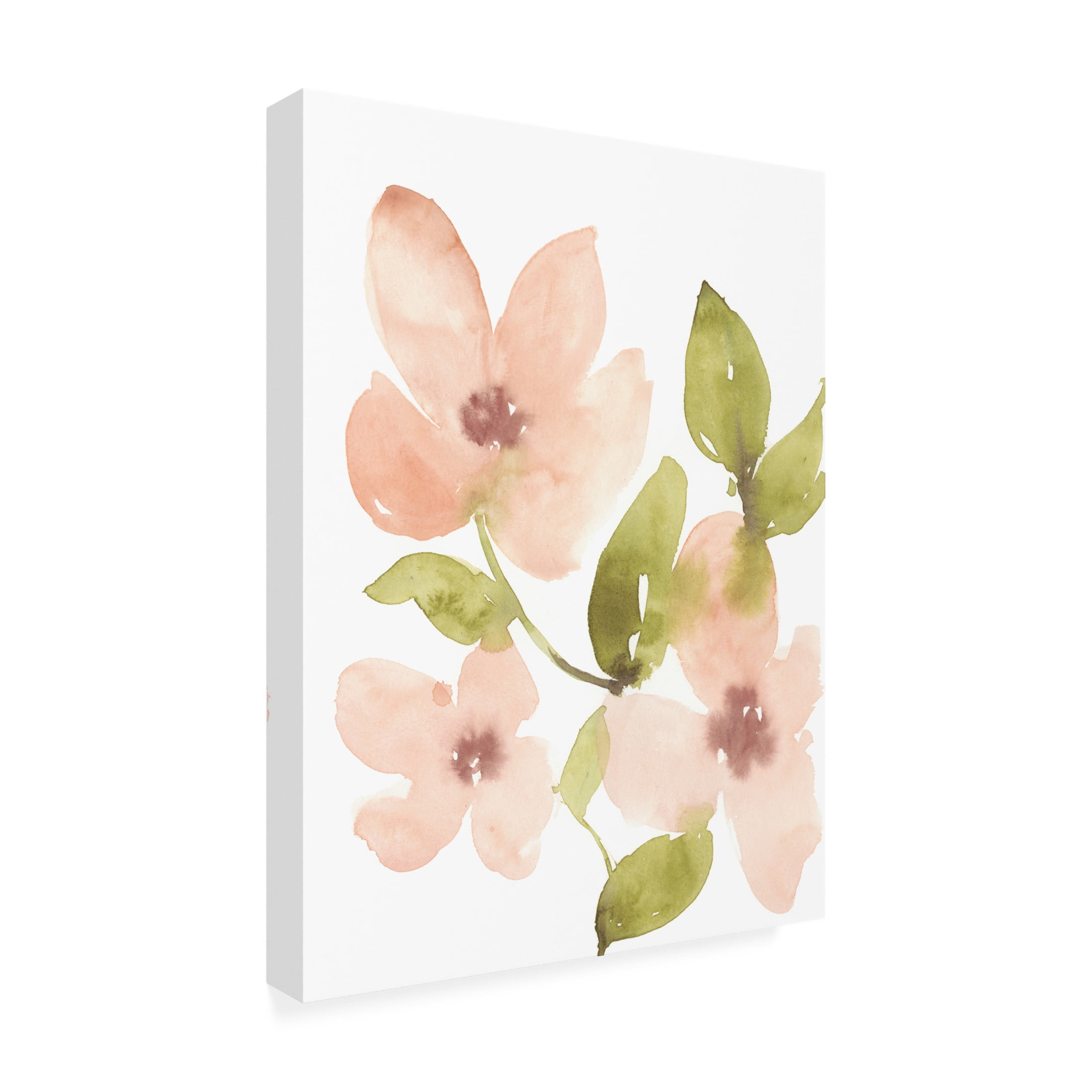 Canvas Wall Art - Jennifer Goldberger 'Soft Coral Blooms II' Wall Art for Living Room, Bedroom, or Office Décor by Trademark Fine Art - 18 x 24 Inches