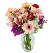 Blooms2Door California Grown Collection: Dahlia's Garden Seasonal Bouquet (15 Stems) of Grower's Choice with Vase