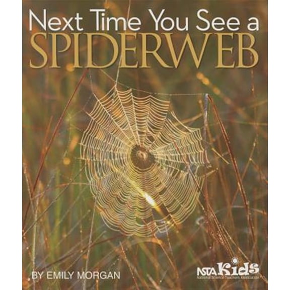 Pre-Owned Next Time You See a Spiderweb (Paperback) 1938946340 9781938946349
