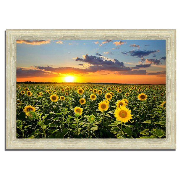 "Sunflower Sunset", Paper Framed Photograph Print Wall Art (51 in. W x